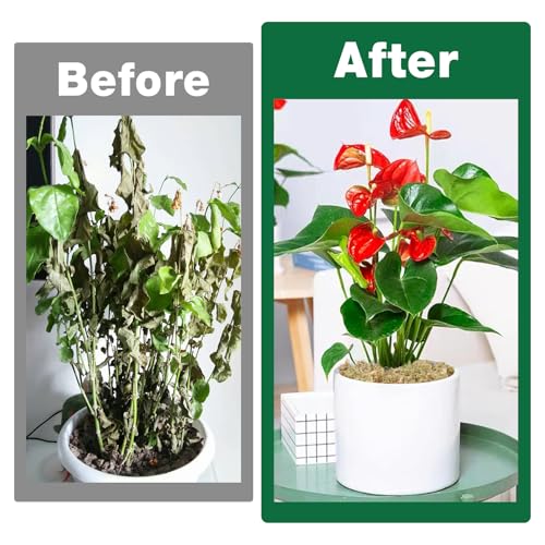 ZeeDix 6L Premium Sphagnum Moss for Plants Indoor, New Zealand Sphagnum Moss for Orchid Potting Mix Terrarium Succulent Carnivorous Ferns Hosta Garden & Reptile Habitat - size: 6L