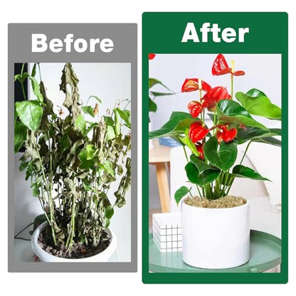 ZeeDix 6L Premium Sphagnum Moss for Plants Indoor, New Zealand Sphagnum Moss for Orchid Potting Mix Terrarium Succulent Carnivorous Ferns Hosta Garden & Reptile Habitat - size: 6L