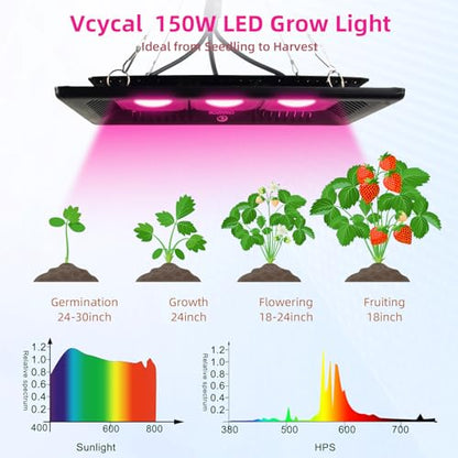 CANAGROW Waterproof Plant Light, Outdoor Grow Light, Full Spectrum COB LED Grow Light with No Noise, Refugium Light for Saltwater Aquarium, Heating Lamps for Plants Seeding Veg Blooming Fruiting - size: 3 Bulbs Pink - 300 W