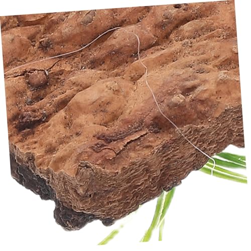 20pcs Natural Cork Bark Decor for Reptile Tank Genuine Terrarium Background Bark for Amphibians and Fish Safe Habitat Accessories
