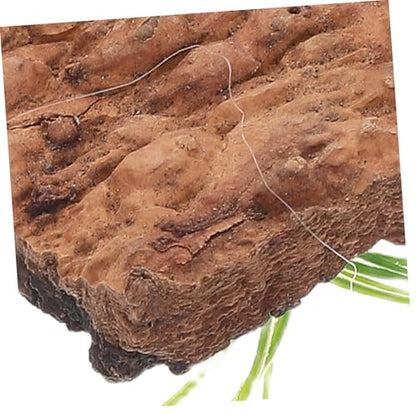 20pcs Natural Cork Bark Decor for Reptile Tank Genuine Terrarium Background Bark for Amphibians and Fish Safe Habitat Accessories