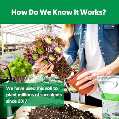 Succulent Cactus Potting Soil Mix (12 qt), All-Purpose Garden Potting Mix for Indoor Outdoor Plants, Quick Drain Houseplant Orchid Bonsai Perlite Soil, Ready-to-Use, Resealable Bag Design - size: 12 qt