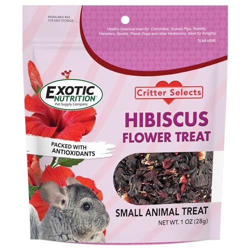 Hibiscus Flower Treat (1oz)- Healthy Natural Dried Flower Herbivore Treat - Chinchillas, Guinea Pigs, Rabbits, Prairie Dogs, Degus, Hamsters, Rats, Squirrels, Sugar Gliders & Other Small Pets - size: 1 Ounce (Pack of 1)
