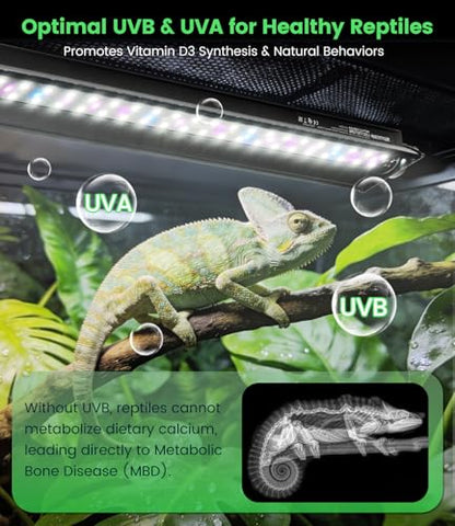 12W T5 UVB LED Reptile Light – High Output UVA UVB Light for Bearded Dragon, T5 10.0 UVB Reptile Light Fixture (19.6") - size: 19.6"