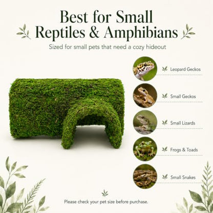 Mossy Reptile Hide for Terrariums, T-Shaped Cave with Dual Openings for Leopard Geckos, Small Lizards, Frogs, Hermit Crabs and Small Snakes, 7.1 in