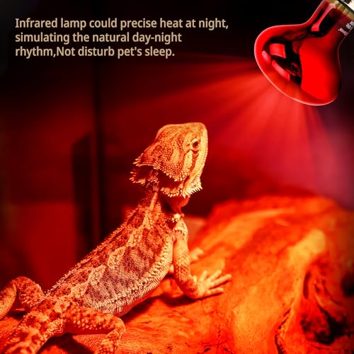 Dual Reptile Light Fixture Kit with 100W UVA Basking Bulb & 100W Infrared Heat Lamp,2-in-1 Deep Dome Day & Night Heating Combo for Bearded Dragon Turtle Snake Terrarium with Independent Switches