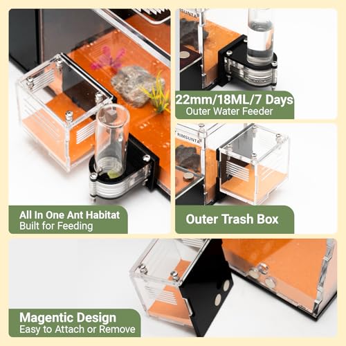 Terra Core Hybrid Formicarium Ant Nest with Starter Kit 9.84 x 9.05 x 5.11 in - size: Terra Core Series-Hybrid