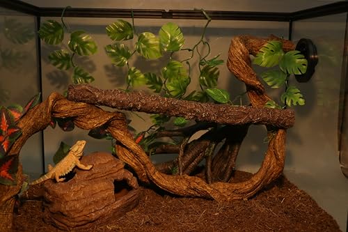 AQUA KT Reptile Hide and Cave Hideout for Leopard Crested Gecko Ball Python Lizard Bearded Dragon Snake Amphibians Hiding Place Terrarium Habitat Decoration