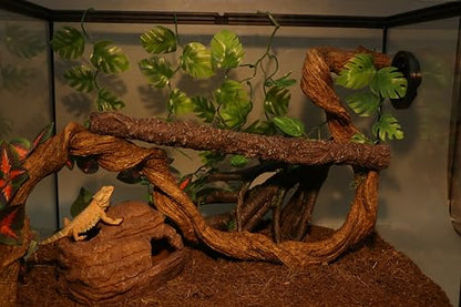 AQUA KT Reptile Hide and Cave Hideout for Leopard Crested Gecko Ball Python Lizard Bearded Dragon Snake Amphibians Hiding Place Terrarium Habitat Decoration