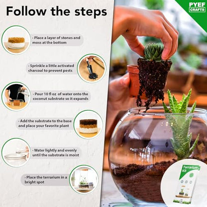 Terrarium Kit, Succulents & Indoor Plants Set DIY | Starter Pack for Any Plant – Build Your Own Ecosystem – Supplies for 64 fl oz Jar or Pot – (Jar & Plants Not Included)