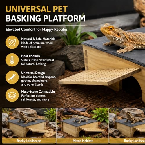 Slate Rock Basking Platform with Hideout Cave for Bearded Dragons and Reptiles
