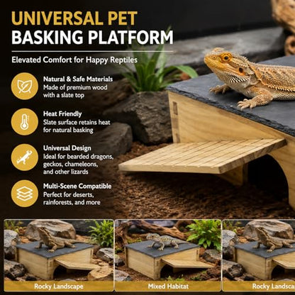 Slate Rock Basking Platform with Hideout Cave for Bearded Dragons and Reptiles