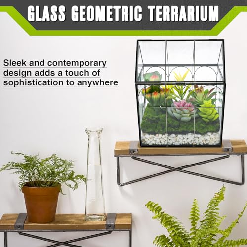 Glass Plant Terrarium with Lid - Geometric House Shaped Terrarium Planter Kit for Succulent Snails Ferns Moss Air Planter, Glass Greenhouse Indoor for Home Garden Office Decor, Tabletop Terrarium