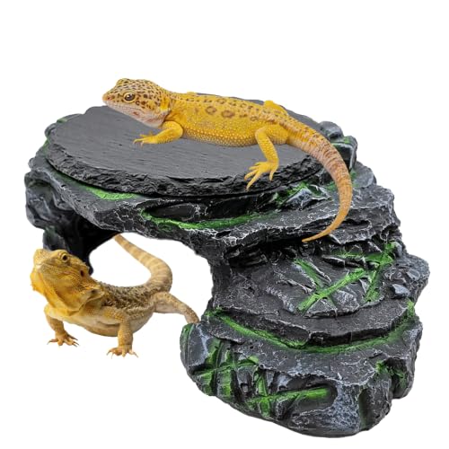 Reptile Basking Platform, Turtle Basking Platform Juvenile Beared Dragon Tank Accessoriese Reptile Hide with Rock Plate for Lizard, Leopard, Crested Gecko(Large-Green) - style: style 2