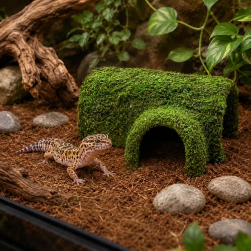 Mossy Reptile Hide for Terrariums, T-Shaped Cave with Dual Openings for Leopard Geckos, Small Lizards, Frogs, Hermit Crabs and Small Snakes, 7.1 in