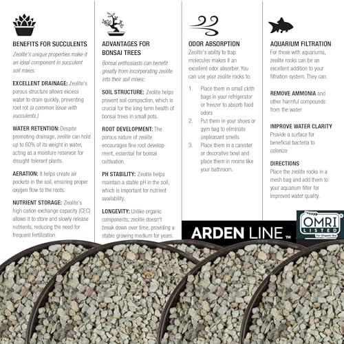 Zeolite Regular 12 lbs, Clinoptilolite 1/8"–1/4" (3–6 mm), Soil Amendment for Succulents, Bonsai & Plants, Improves Drainage and Moisture Balance, Decorative and Aquarium Use - style: Regular - 12 lbs