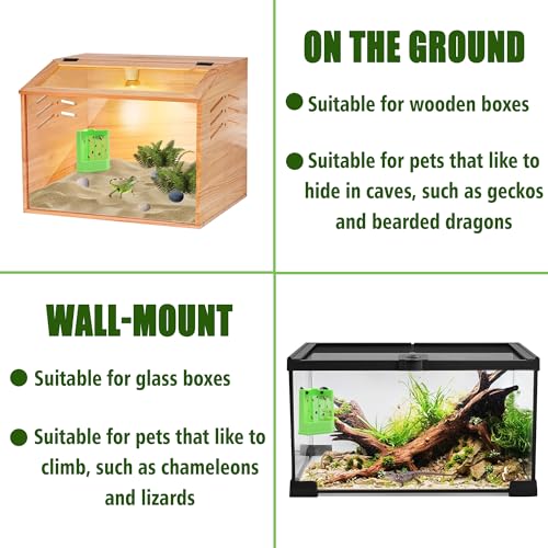 Chameleon Feeder with Suction Cups, Green Bearded Dragon Food Bowl, Wall Mount Insect Feeding Box for Reptile, Corner Hunting Bowl for Frogs Geckos, Tank Accessories (Green)