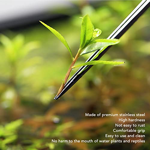Aquarium Tweezers, 45cm Stainless Steel Feeding Tongs, Rust Long Handle for Reptile, Plant, and Deep Tank Use (Straight Tweezers) - size: Straight Tweezers
