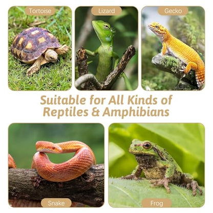 PINVNBY Reptile Bathing Pool Plastic Tortoise Food Dish with Ramp Leaf Reptile Food Dish & Water Bowl Tortoise Habitat Accessories for Frog Lizard Box Turtle (White)
