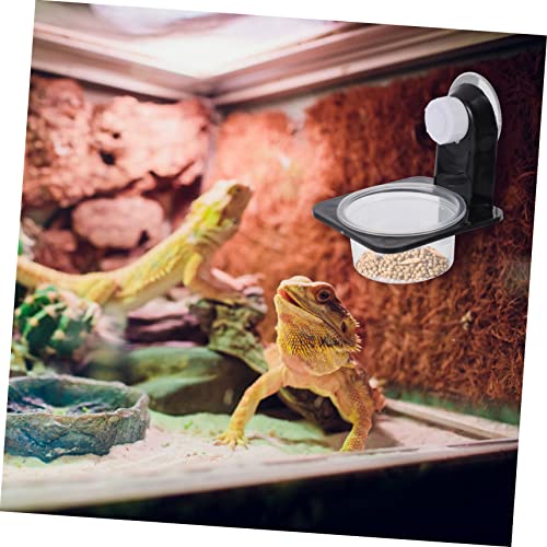 Toddmomy Reptile Feeding and Drinking Bowl Durable Worm Container with Suction Cup for Easy Feeding of Geckos Tortoises and Other Pets Compact Design for Space-Saving Use