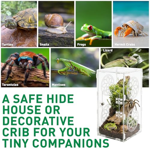 Jumping Spider Enclosure, 11.8"x5.5"x5.9" Acrylic Terrarium Praying Mantis Enclosure with Front Door, Jumping Spider Habitat for Tarantula, Snail, Lizard, Crabs and Small Reptiles