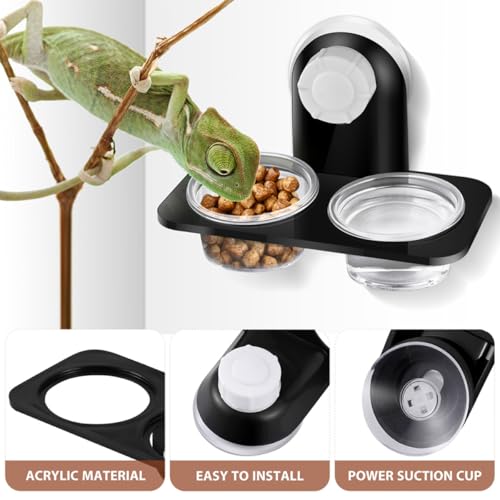 VILLCASE Reptile Food Bowl with Suction Cups, Double Compartment Plastic Pet Water Feeding Dish for Lizards and Geckos, 2pcs Black Terrarium Feeder for Amphibians and Small Reptiles