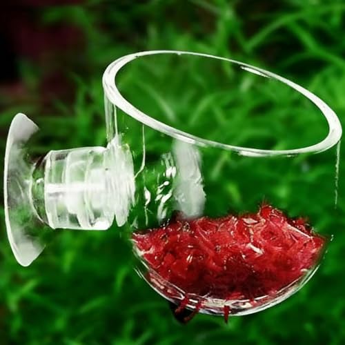 Floating Shrimp Bowl, Aquarium Feeding Tray with Suction Cup, Fish Food Cup Accessory, Reptile and Aquatic Pet Feeder, Tank Tortoise Gecko Bearded Dragon Betta Turtle Shrimp Crab Frog Snake Spider - size: Small
