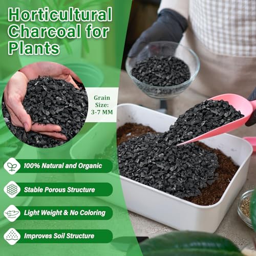 Legigo 10QT All Natural Horticultural Charcoal- Activated Hardwood Plant Charcoal for Soil Amendment, Conditioning Bonsai Soil, Succulent, Terrarium Supplies, Indoor Plant Potting Soil - color: 10 QT