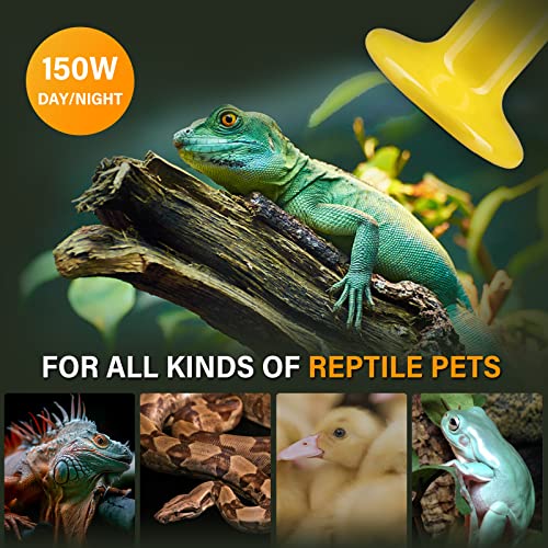 Simple Deluxe 150W 2-Pack Ceramic Heat Emitter Reptile Heat Bulb No Light, LCD Digital Aquarium Thermometer, for Reptile Amphibian, 2 Pack, Yellow - color: Yellow, size: 2 Pack