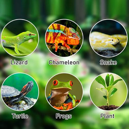 Automatic Reptile, Quiet Reptile Humidifiers Misting Systems, Smart Timer Spray System with 360° Adjustable Nozzles, for Terrariums Amphibian Lizard Snake Plants (US Plug)