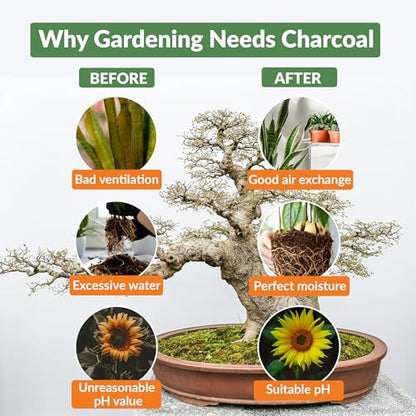 Old Potters Premium Horticultural Charcoal Chips, Natural Soil Amendment for Areation and Healthy Microbe and Plant Growth. (24 Quarts)