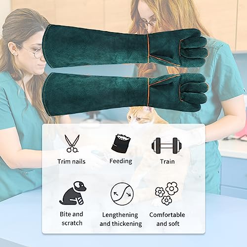 1 Pair Animal Handling Gloves Bite Proof,Leather Welding Gloves,24.4in Reinforced Leather Gloves with 2 Tweezers for Dog Training,Cat,Falcon,Reptile(Blue)