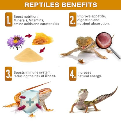 Gargeer 4oz Bee Pollen for The Picky Reptile. Boost Health, Digestion and Skin Regeneration! Enhanced with Real Organic Fruits, Vitamins, Minerals, Amino Acids, and Carotenoids. Made in USA. Enjoy!