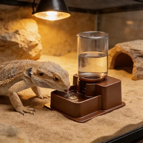 Reptile Automatic Dish - Automatic Reptile Feeder, Crab Water Dispenser | ABS, Bearded Dragon Water Bowl Food Container for Lizard Chameleon Snake Frog Hermit Crab Amphibian Habitat - color: Brown