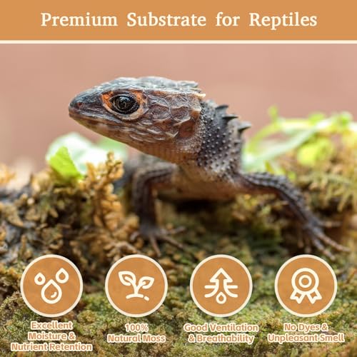 Riare 50QT Natural Sphagnum Moss for Reptiles 2.2LB Terrarium Reptiles Moss | Dried Terrarium Moss Bedding for Snakes Turtles Frogs Geckos Ball Pythons Lepard Gecko Lizards Bearded Dragon & Humid Hides - color: 2.2 LB