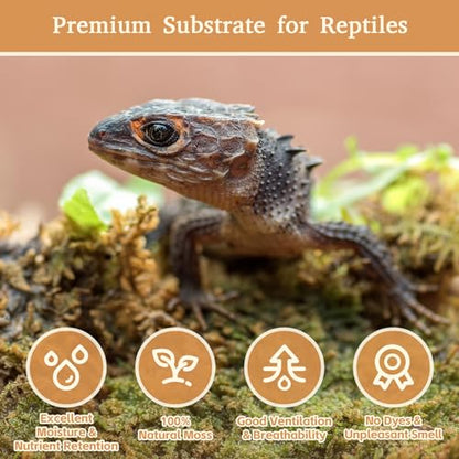 Riare 50QT Natural Sphagnum Moss for Reptiles 2.2LB Terrarium Reptiles Moss | Dried Terrarium Moss Bedding for Snakes Turtles Frogs Geckos Ball Pythons Lepard Gecko Lizards Bearded Dragon & Humid Hides - color: 2.2 LB