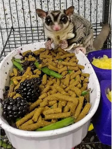 Premium Insectivore Diet (2.6 lb.) - Healthy Nutritious Chicken Based High Protein Pellet Diet - for Sugar Gliders, Hedgehogs, Opossums, Skunks & Other Insectivores - size: 2.6 Pound (Pack of 1)