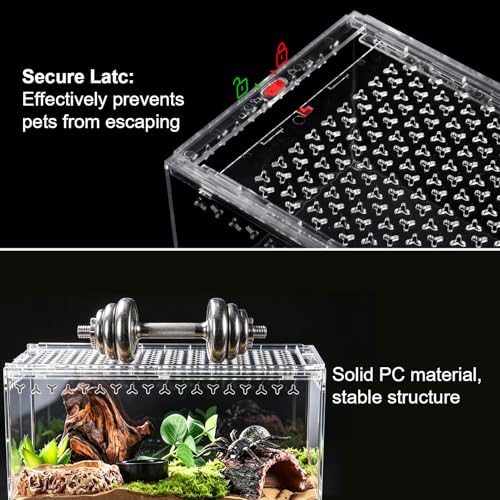 Reptile PC Terrarium 11.8" x 7.87" x 5.9" Full View Enclosure for Reptiles Geckos Tarantulas Spiders Insects with Hide Cave Feeding Bowl (L-Starter Kit) - size: L-Starter Kit