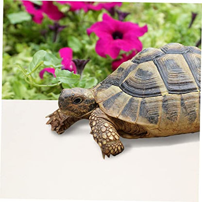 Eva Reptile Carpet Mat Non-Adhesive Reptile Tank Bedding Bearded Dragon Substrate Soft Lizard Climbing Decor Tortoise Bedding