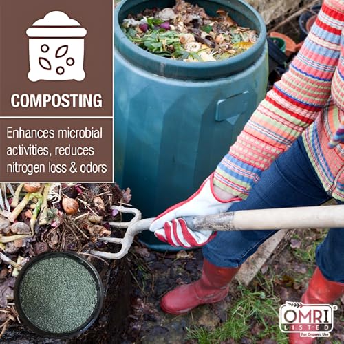Zeolite Granular 24 lbs, Clinoptilolite 1.4–4 mm, Soil Amendment for Plants, Succulents & Bonsai, Improves Drainage and Odor Control, Aquarium Filter Media - style: Granular - 24 lbs