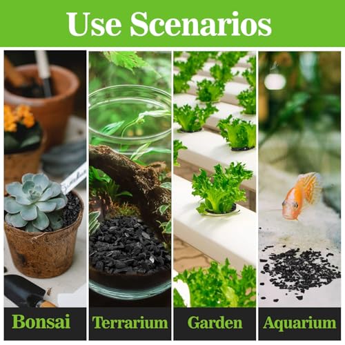 RAINFLOW Horticultural Charcoal for Plants - 290G Natural Earth Regulated Supplement for Potting Soil Indoor Plants, 3-5mm Succulent Soil, Organic Biochar, Paphiopedilum, Bonsai