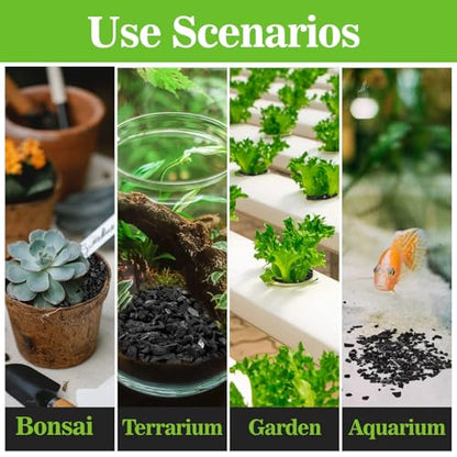 RAINFLOW Horticultural Charcoal for Plants - 290G Natural Earth Regulated Supplement for Potting Soil Indoor Plants, 3-5mm Succulent Soil, Organic Biochar, Paphiopedilum, Bonsai