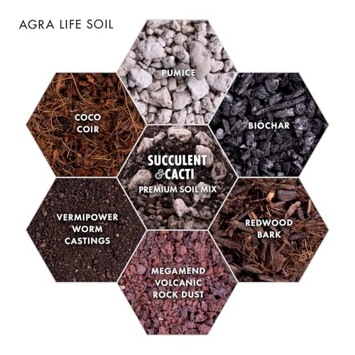Premium Succulent Soil Mix for Indoor & Outdoor Plants - Fast-Draining Potting Soil for Succulents, Cacti, & Houseplants - Natural Blend with Pumice for Optimal Plant Growth - 4 Quarts