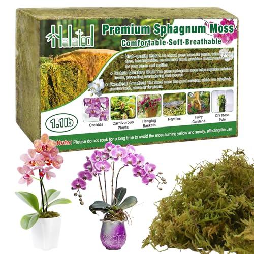 Halatool 1.1LB Green Forest Moss- 25QT Natural Sphagnum Moss for Plants Fluffy Orchid Moss for Orchids Repotting Dried Plant Moss for Potted Plants Indoor & Outdoor - color: 1.1 lb