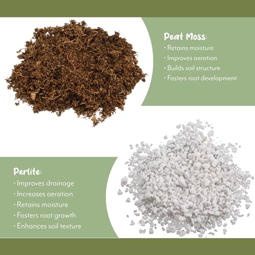 Soil Sunrise Philodendron Plant Potting Soil Mix (8 Quarts) Special Blend for Heart Shape Philodendron Plants Et Al.
