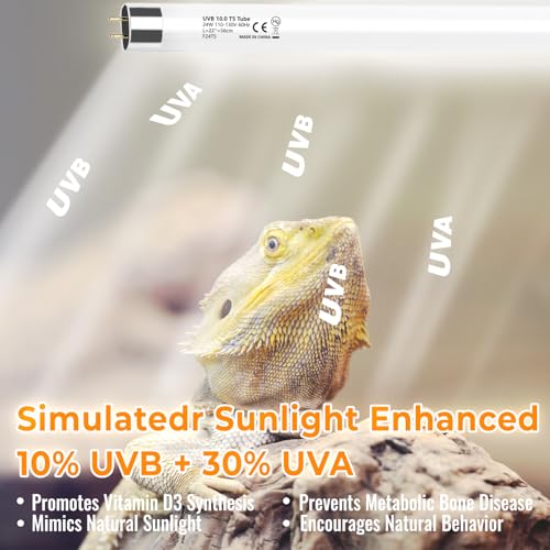 2 Pack T5 HO 10.0 UVB Reptile Bulb 24W, 22-Inch UVA UVB Light for Reptiles, Fluorescent Lamp Tube for Bearded Dragons, Turtles, Chameleons, Lizards, Tropical Desert UVB Lighting - size: 24W-22 Inch-T5 Bulb-2 Pack