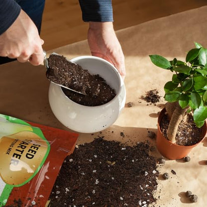 Doter Seed Starter Potting Soil Mix 1qt, Seed Starting Mix for Germination and Growth, Loamy Compost Well-Drainaged Soil Fit for Vegetable, Flower, houseplant - size: 1qt