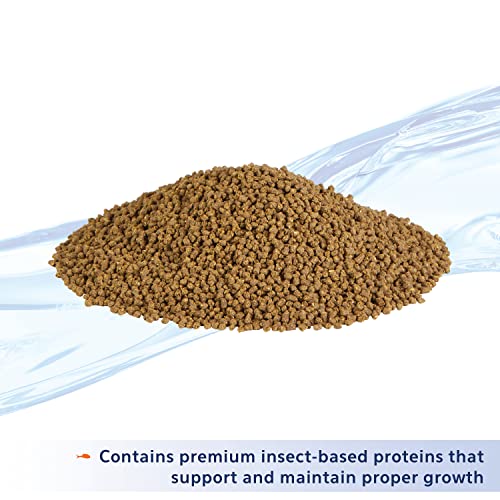 Aqueon Nutrinsect Fish-Free Fish Food, Betta Pellets, 1.41 oz - size: 1.41 Ounce (Pack of 1), style: Betta Pellets