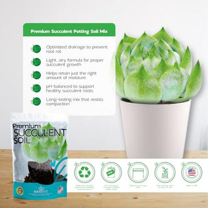 Succulent Soil Potting Mix Succulents Plants Live Succulent pots Potting Soil for Succulents Indoor suculentas Potting - color: Succulent Soil
