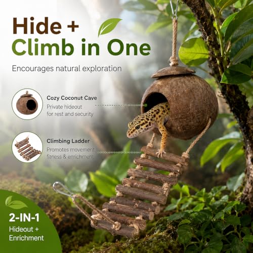IMIKEYA Reptile Hide Coconut Cave, Natural Hanging Shell Hut with Rope Ladder for Crested and Leopard Gecko, Lizard Tank Hideout Decor for Small Reptiles and Hermit Crabs